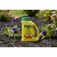 thumbnail image 5 of Miracle-Gro Shake 'N Feed All Purpose Plant Food Plus Weed Preventer1 4.5 lb., 5 of 7
