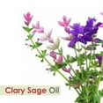 thumbnail image 2 of Karma Organic essential therapeutic grade Essential Oil (15ml) (Clary sage), 2 of 5