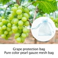 thumbnail image 3 of Sywqhk Bolsa de red antipájaros Bolsa de malla de protección de frutas, uvas y verduras (azul claro) Sywqhk Para estrenar, 3 of 9
