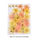 thumbnail image 5 of Advancent Flores secas amarilla anaranjada 5Conjunto, 5 of 6