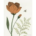 thumbnail image 2 of Miller, Sara Zieve 12x14 White Modern Wood Framed Museum Art Print Titled - Springtime I Warm, 2 of 4
