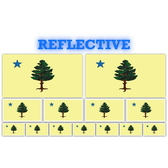 13 Pack the State of Maine 1901–1909 Flags | (x2) 4x2 inch, (x4) 2x1 inch, (x7) 1x.5 inch flag stickers | Country State Flags Pack Stickers for Cars, Trucks, Laptops, Bikes, Toolboxes