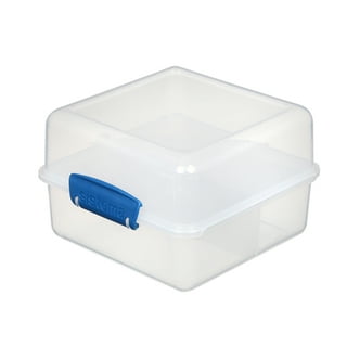Biosmart Sandwich Container: 1 Pack Reusable, BPA Free Plastic Food Storage  with Snap-Off, Leak-Proof Lid: *Colors Vary