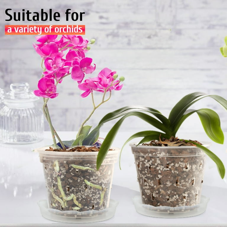Fabulas Clear Orchid Pots with Saucers, 5.5 Inch, 8-Pack photo 5