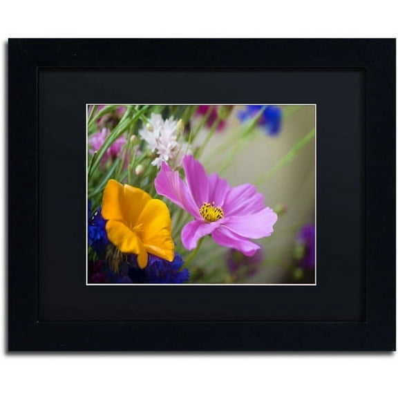Trademark Fine Art "Cosmos of the Fields" Canvas Art by Philippe Sainte-Laudy, Black Matte, Black Frame