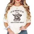 thumbnail image 3 of It Is What It Is and It Is Not Great Shirt for Women & Teens Funny Raccoon Tee Ivory Shirt Adult Large, 3 of 4