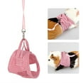 thumbnail image 4 of Pequeña Ropa de Animal Pet Squirrel Gosino Delantero delantero Portátil Transportando Con Cerradura de Hebilla de Hierro, Fantasía, Linda y Enérgica para un Uso fácil y, 4 of 7