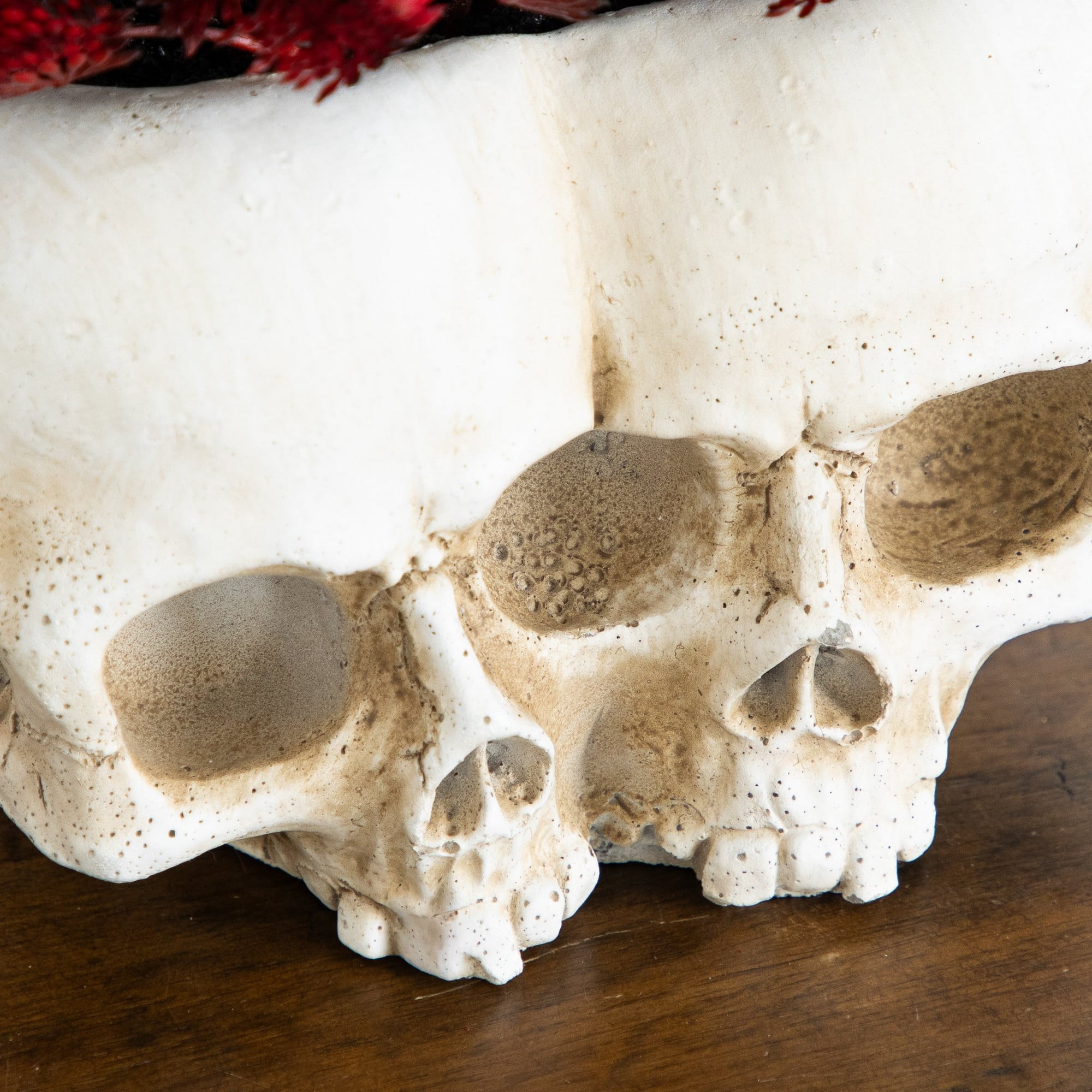 6in. Artificial Halloween Succulent Plant in Double Skull Planter