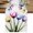 Multicolor, variant on Colorful Tulip Table Runner 70 Inches Long, Dining Table Runners Dresser Scarves, Farmhouse Luxury Flowers Botanical Kitchen Coffee Tablerunner for Tabletop Party Birthday Holiday Wedding 13"x70"