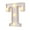 Letter:T, variant on Walbest Decorative LED Illuminated Letter Marquee Sign, Alphabet Marquee Letters with Lights For Wedding Birthday Party Christmas Night Light Lamp Home Bar Decoration T