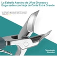 thumbnail image 4 of Cortaúñas Biselado, 3 Pcs Kit De Cortaúñas Biselado con Forma de Pico de Águila, 2025 Upgrade Diagonalmente Hacia Dentro Crecimiento Uñas Cortadores para Uñas de Manos Y Pies (Verde), 4 of 5