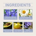 thumbnail image 4 of Viareline Blue Bell Soothing Essence Oil Soothing Hydrating Skin Care Nourishing Face Oil, 4 of 5