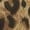 LM414, variant on Leopard Print Brown Women's Dress Short Sleeve Summer Sundress Summer Women Clothes