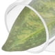thumbnail image 3 of unbranded Decorativo En Acrílico Para De Betta Con De Hoja, 3 of 7