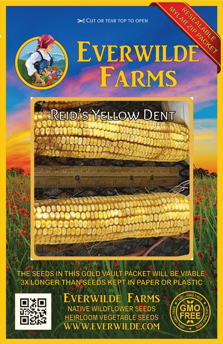 Everwilde Farms 100 Reids Yellow Dent Corn Seeds Gold Vault Jumbo