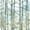 Forest Breeze, variant on Elephant Stock Banff Birch Grove Wall Art - Horizontal Canvas Wall Art - Living Room Wall Decor - Nature Canvas - Gray And White Decor By Carol Robinson - 12" x 8"