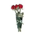 thumbnail image 1 of Lindo muñeco de peluche de flores, suave, lindo, divertido y creativo ramo de tela, encantador para mujeres Rojo, 1 of 9