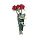 thumbnail image 1 of Lindo muñeco de peluche de flores, creativo, lindo y suave, decoración para el hogar, encantador ramo de tela. Rojo, 1 of 9