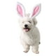 thumbnail image 3 of Diadema con orejas de conejo para mascotas, disfraz de cosplay para perros, gatos y cachorros, accesorio para el pelo para fiesta de Halloween, talla S, 3 of 7