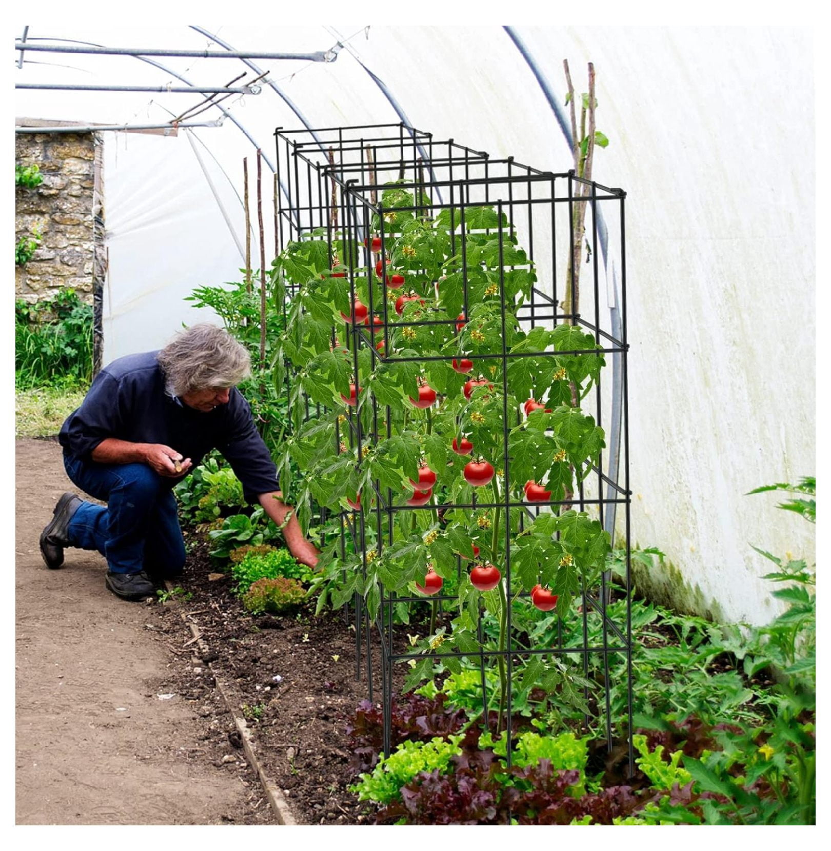 4 Pack Folding Tomato Cages, 39 Inches Tall Square Plant Support Cage for Garden Climbing Plants Flowers Fruits, Heavy Duty Tomato Vegetable Trellis