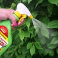 Dr. Earth Organic & Natural Final Stop Vegetable Garden Insect Killer