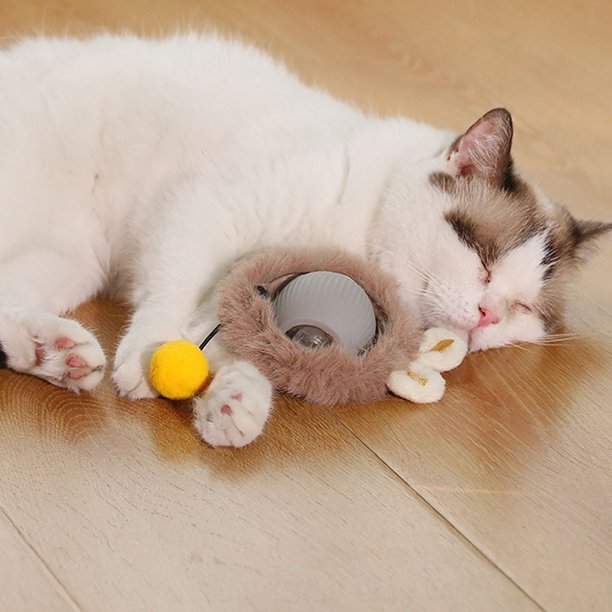 Jouet Interactif Pour Chat D'intérieur, Balle Interactive Avec Queue, évitement Intelligent Des