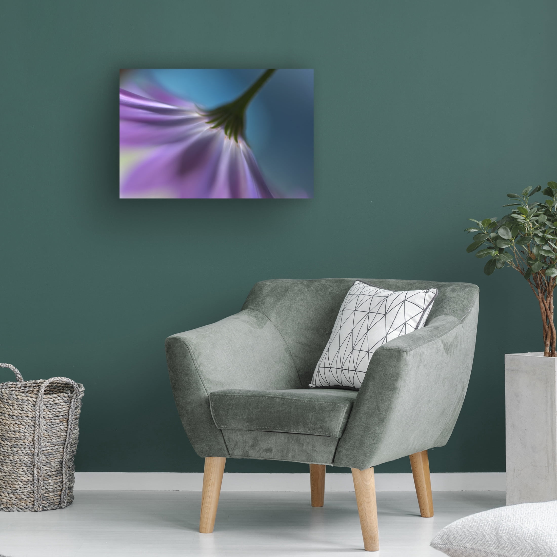 Canvas Wall Art - Heidi Westum 'Bright Marguerites' Wall Art for Living Room, Bedroom, or Office Décor by Trademark Fine Art - 47 x 30 Inches