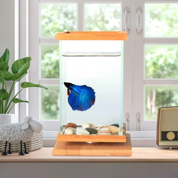 Square fish tank small cheap