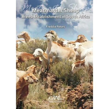 Meatmaster Sheep : Breed Establishment in South