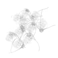thumbnail image 3 of Ccdes Boule Décorative, Boule Transparente, 10pcs/set Boule Suspendue Décorative Réutilisable Boule de Noël Transparente à Remplir pour la Fête de Vacances, 3 of 8