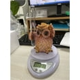thumbnail image 7 of cherybn Owl Rain Gauge, 7 of 7