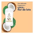 thumbnail image 3 of Antitranspirante Dove tono uniforme en barra coco para dama 45 g, 3 of 6