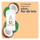 thumbnail image 3 of Antitranspirante Dove tono uniforme en barra coco para dama 45 g, 3 of 6