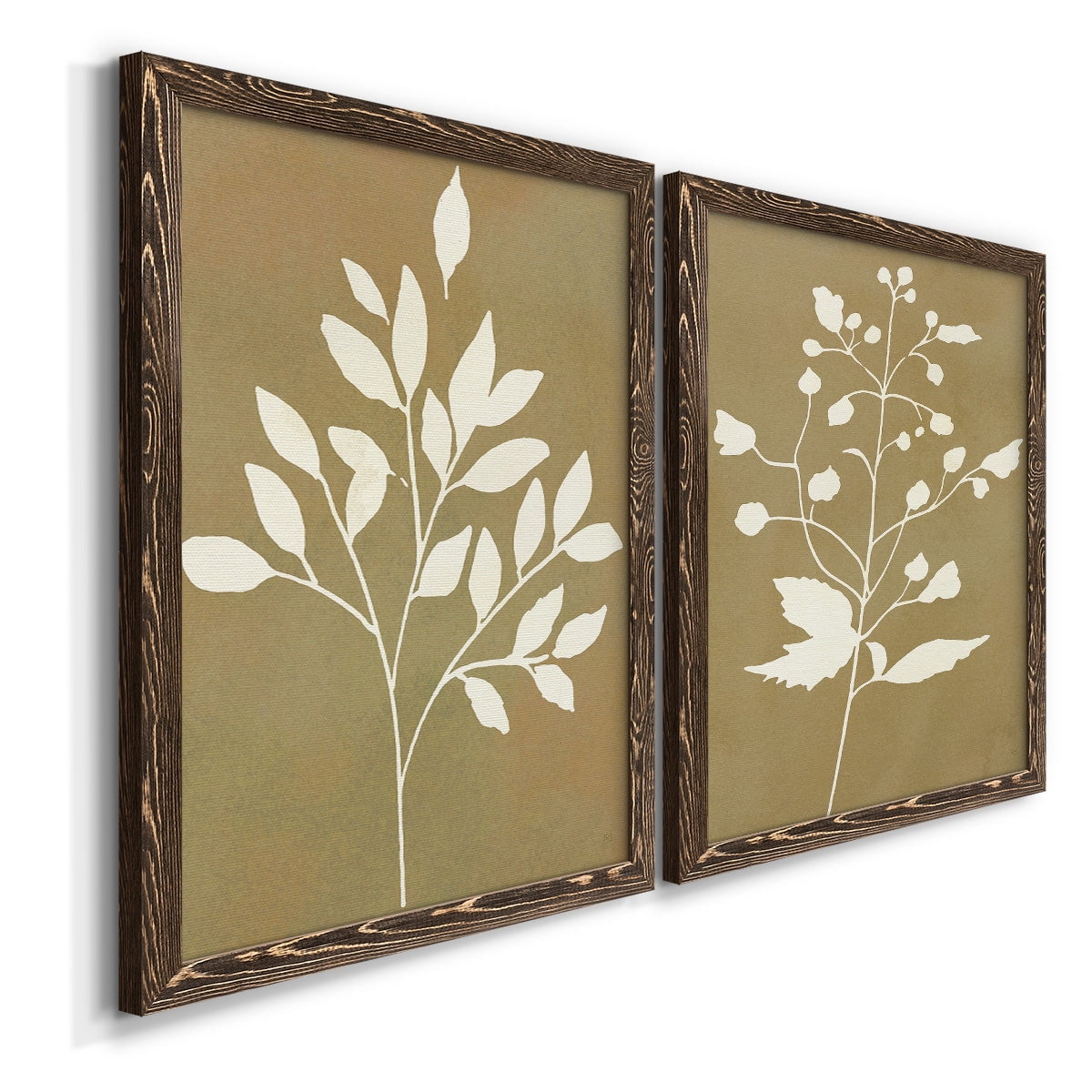 Honey Botanical I - Premium Framed Canvas 2 Piece Set - Ready to Hang