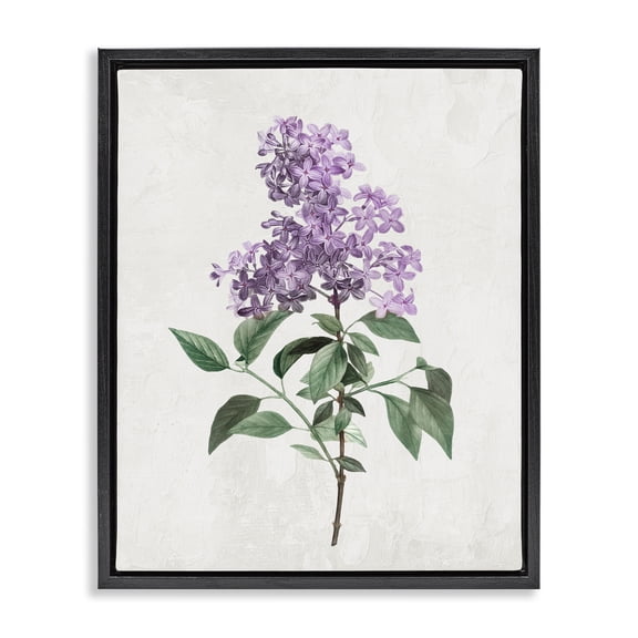 Stupell Industries Lilac Herb Blossoms Black Framed Floater Canvas Wall Art, design by Kim Allen