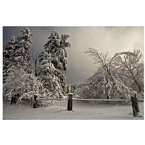 |Multiple Sizes Wrapped Canvas on Wooden Frame Winter Scene Wall Art Winter Scene Canvas Print