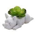 thumbnail image 2 of Maceta para flores, maceta para cachorros, decoración, maceta de resina, maceta para flores de resina, alta capacidad, 2 of 4
