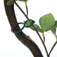 thumbnail image 5 of Unique Bargains Plant Clips, Plant Twist Clip Ties Plant Support Clips 2.4 x 1.6', Green 100 Pack, 5 of 5
