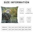 thumbnail image 5 of Bald Eagle Grass Water's Edge Graphic Decorative Throw Pillow Cover for Home Couch Living Room Bed Sofa - Pillow Case 1PC 24x24in, 5 of 5