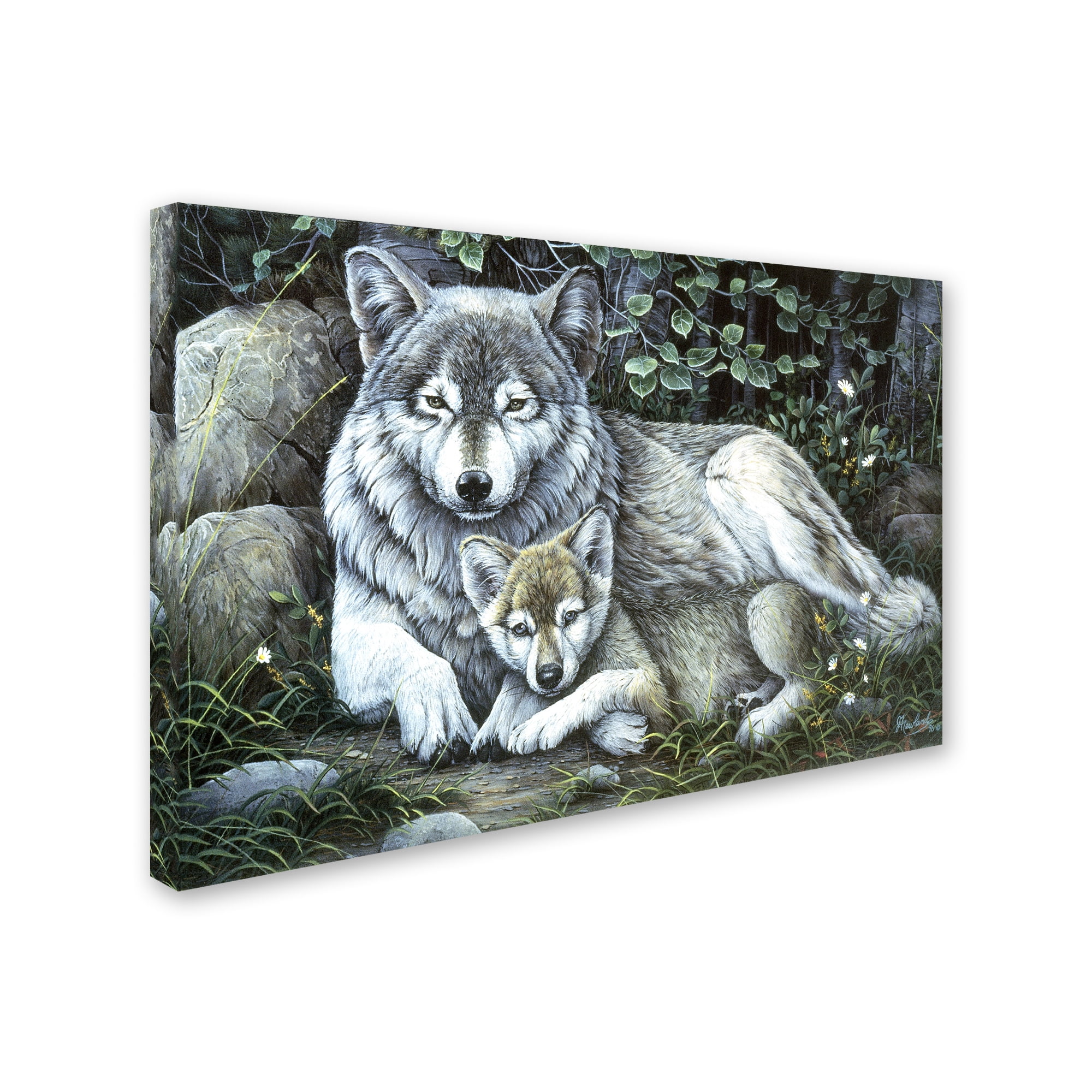 Trademark Fine Art 'Tender Moment' Canvas Art by Jenny Newland