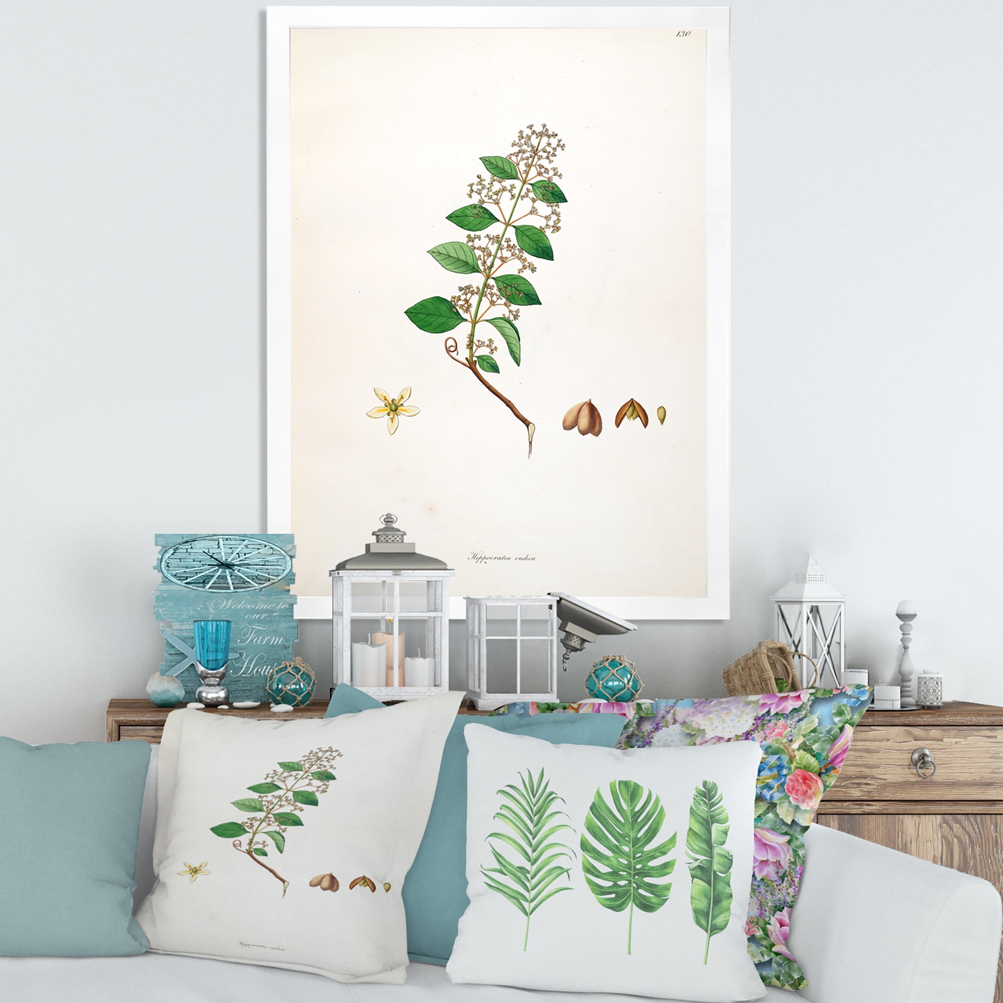 Designart 'Ancient Botanicals I' Farmhouse Framed Art Print