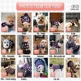 thumbnail image 5 of Suéteres para perros, talla S, suéter pequeño de cuello alto para perros, suéter de punto cálido para gatos con orificio para la correa, 5 of 5