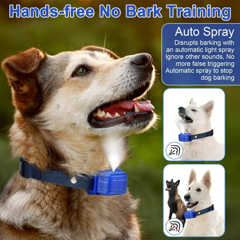 5 Top Citronella Collars For Dogs To Help With Excessive Barking