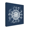 thumbnail image 2 of Trademark Fine Art 'Sea Anemone on Indigo I' Canvas Art by Vision Studio, 2 of 4