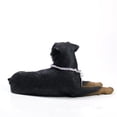 thumbnail image 2 of Conversation Concepts Figura Rottweiler MyDog, 2 of 3