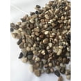 thumbnail image 4 of Easythru Trading Decorative Pebbles River Rocks 40 lbs. (Small, Mix), 4 of 4
