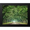 thumbnail image 2 of McLoughlin, James 18x15 Black Modern Framed Museum Art Print Titled - Canopy Road VI, 2 of 5