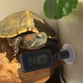 thumbnail image 4 of Reptile Terrarium Thermometer Suction Cup Thermometer Temperature Measuring Device, 4 of 9