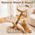 thumbnail image 5 of HITTITE Natural Solid Wood Cat Tree Tower with Scratching Post, 32 Inches Tall Modern Cat Tower with Rattan Bed and Platforms, Luxury Real Branch Cat Tree for Indoor Cats Large Adult, Khaki., 5 of 9