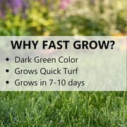 Jonathan Green Fast Grow Grass Seed Mixture - Fast-Growing, Ryegrass - 25 Lb